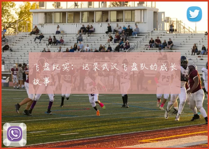 飞盘纪实：记录武汉飞盘队的成长故事