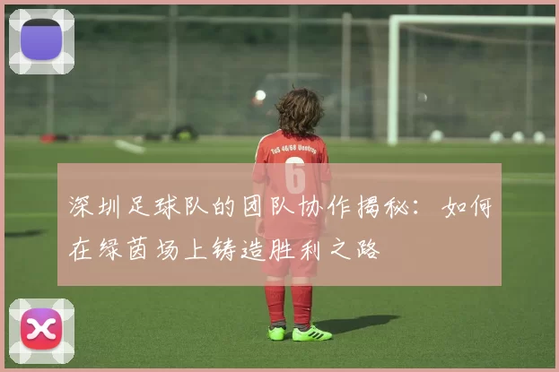 深圳足球队的团队协作揭秘：如何在绿茵场上铸造胜利之路