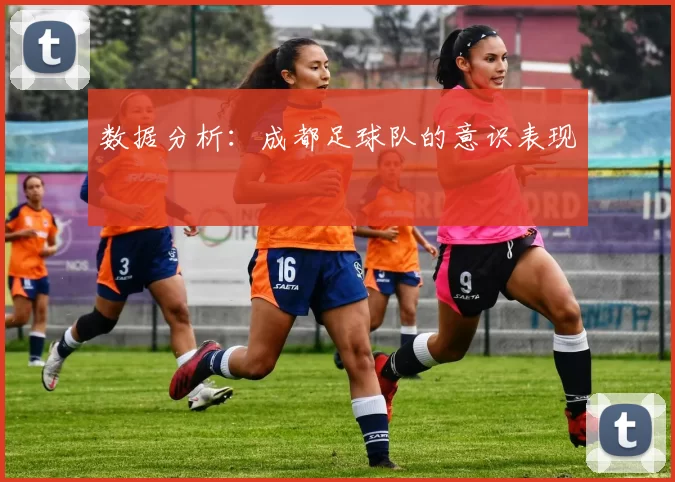 数据分析：成都足球队的意识表现